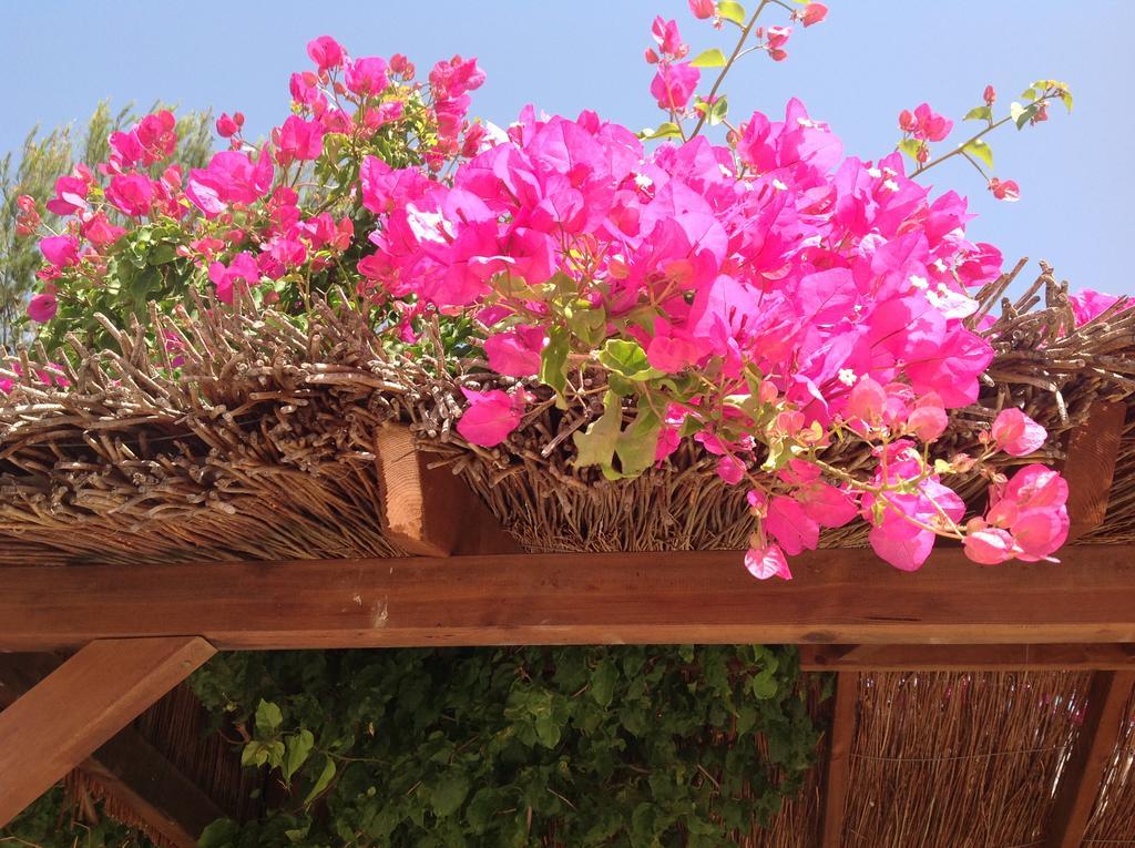 Finca Klara, Boutiquehotel - Apartment -Javea-Moraira- Benitachell Eksteriør billede
